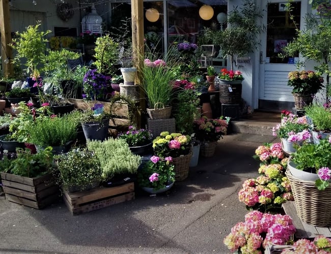 Unik Blomsterforretning stærk i fremdrift sælges. 
