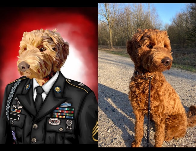 Sjovplakat.dk til salg.