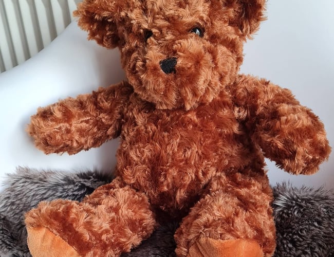 Webshop med salg af Bamser og tilbehør - Omsætning 2020: 75.000 kr.