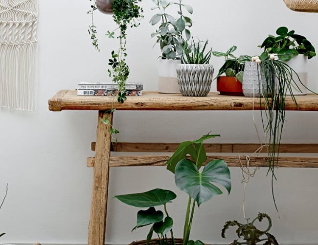 WooCommerce webshop med salg af interiør produkter 