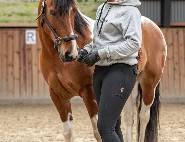 Ridetøjs webshop 4 år - Elgorre.dk - med eget brand