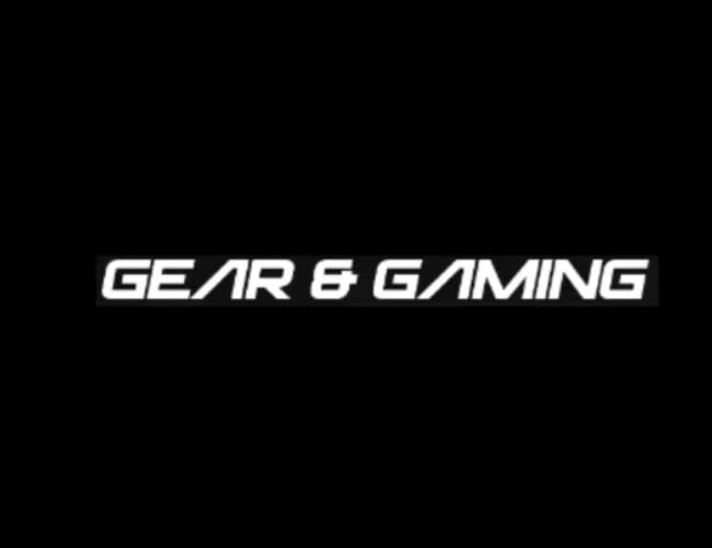 Dropshipping med salg af Gamingudstyr - Omsætning på 1,2 mio. kr.