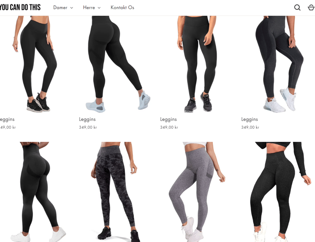 Salgsklar dropshipping fitness webshop med 2-5 dages levering, 200+ produkter