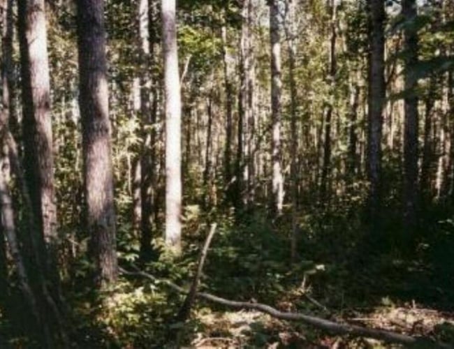 Dansk  ejere som ejer en LETISK ejendom selskab i Letland til salg