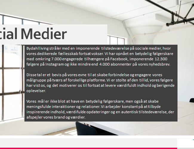 Webshop i 4 lande sælges (under konkurs)