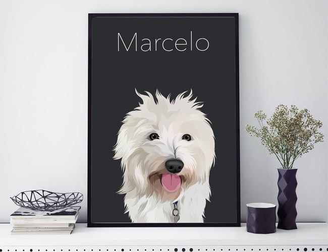 Tids- og ressourcesparsom plakatwebshop til kæledyrs - ÅTD omsætning: ca. 50.000 kr.