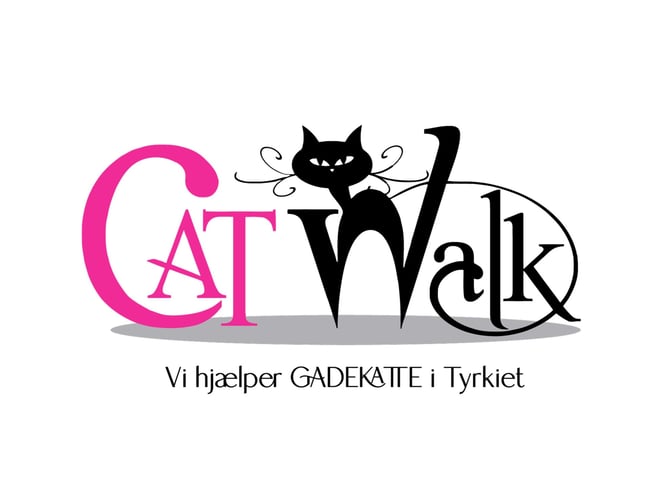 Website til salg