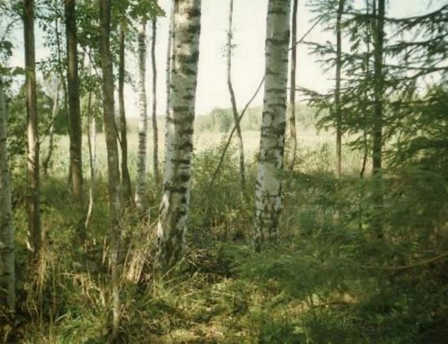 Dansk  ejere som ejer en LETISK ejendom selskab i Letland til salg