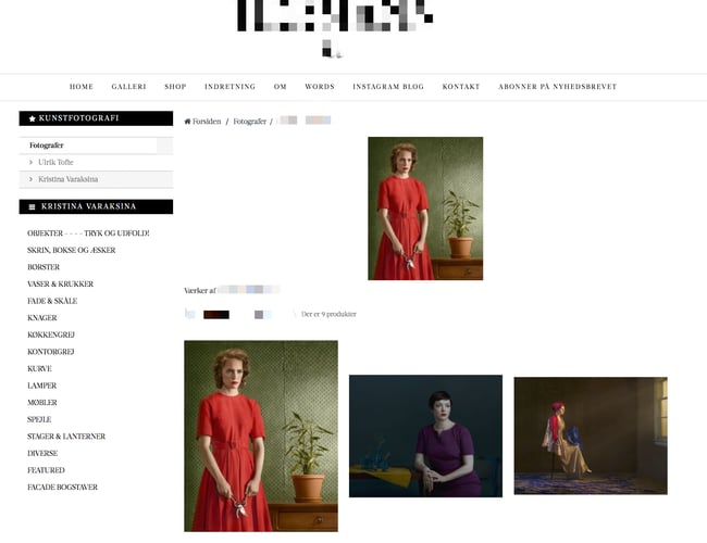 Veletableret webshop til detailhandel/vintage/galleri o.s.v 