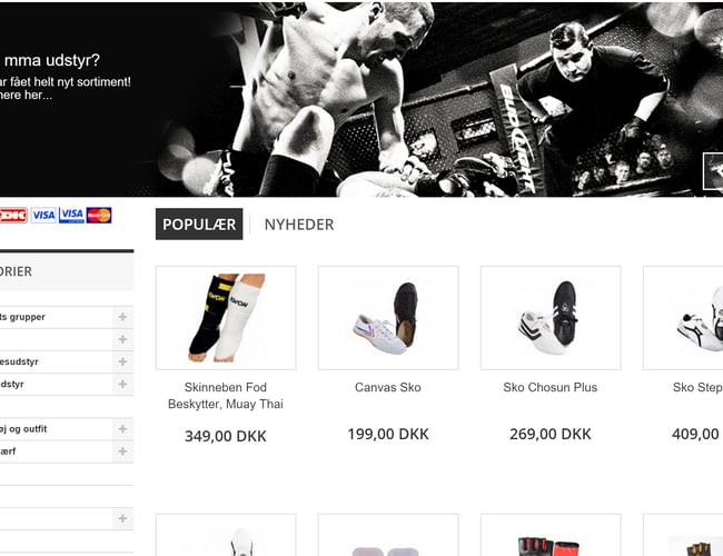 Veletableret Dropship Webshop med kampsportsudstyr | 125.000 /år.