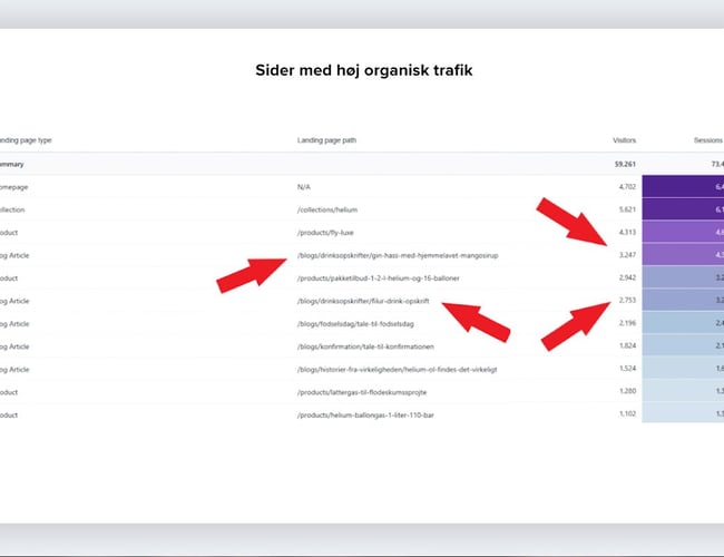 Festorama.dk - Festartikler med stort potentiale indenfor hjemmebarudstyr! - Dækningsbidrag 225.558,- DKK 