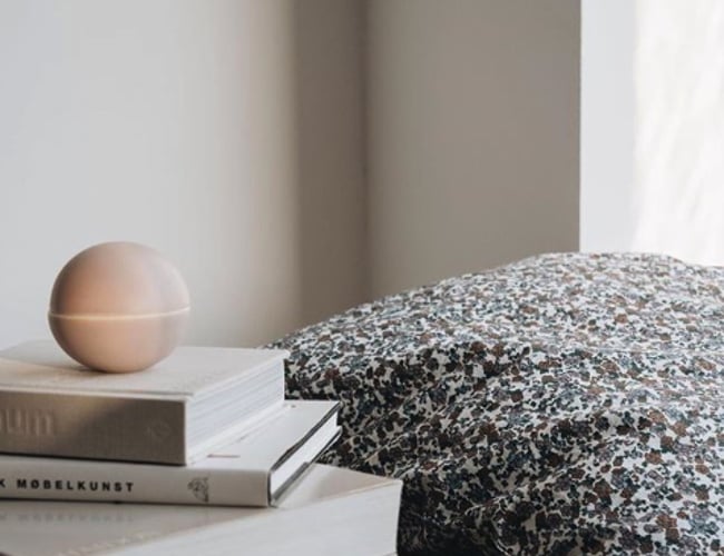 Bæredygtige og økologiske livsstilprodukter - kombineret detail og e-commerce - Resultat til indehavers disposition 500.000 kr. årligt