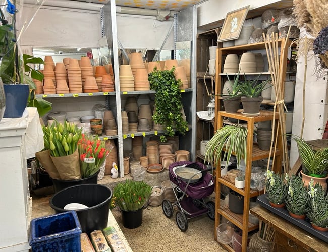 Blomsterbutik til Salg