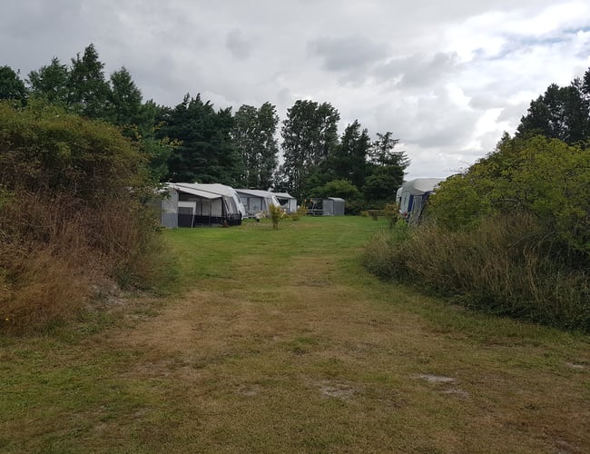 Campingplads bortforpagtes – naturnær beliggenhed og stærkt udviklingspotentiale