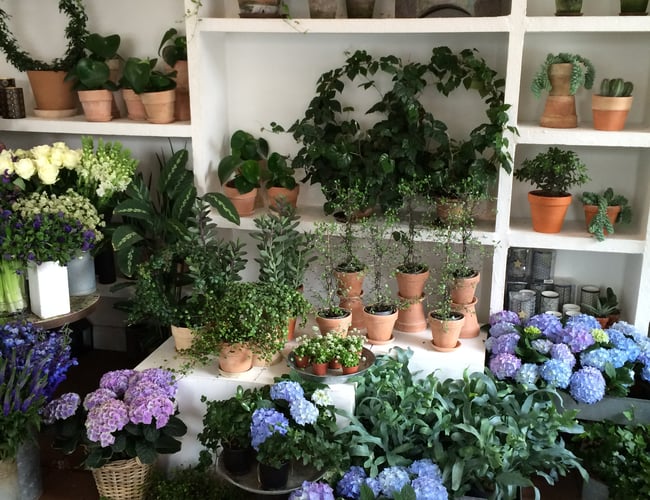 Attraktiv beliggende hjørnebutik i indre København