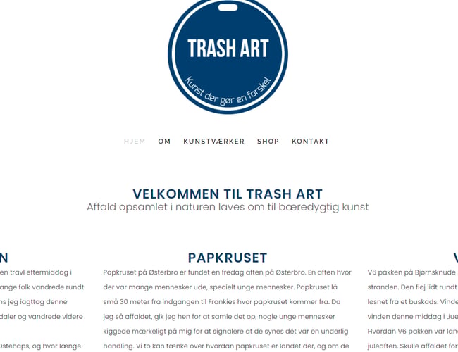 Bæredygtig kunst Webshop og Community af kunstnere  (Trash - Art + hjemmeside, netværk mm.) - Overskud før skat 20.000 DKK