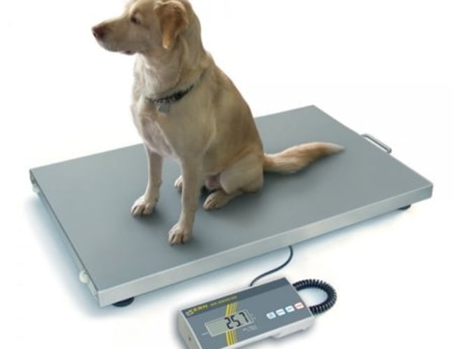 Webshop og Service firma indenfor vægte med god omsætning og stort potentiale sælges.