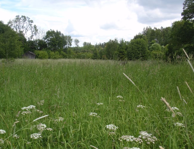 Dansk  ejere som ejer en LETISK ejendom selskab i Letland til salg
