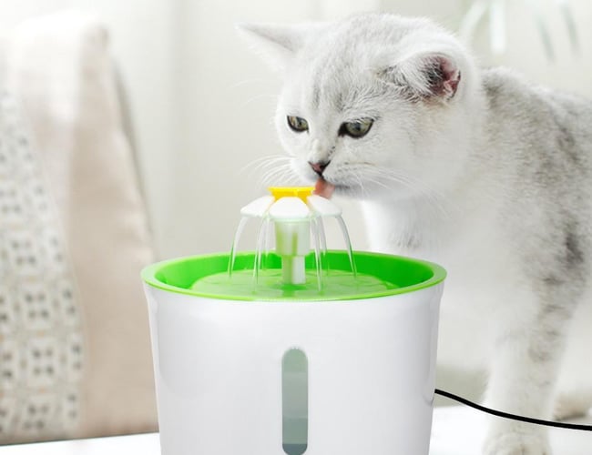 WEBSHOP + HJEMMESIDE MED TING TIL HUNDE OG KATTE 