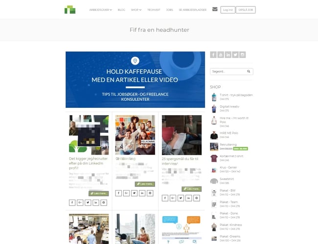 Job- og rekrutterings platform med dropshipping og digitale varer