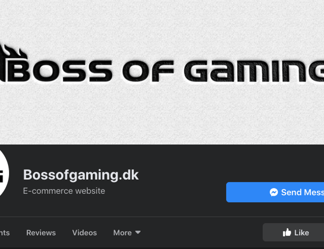 Køreklar dropshipping webshop med dag til dag levering!