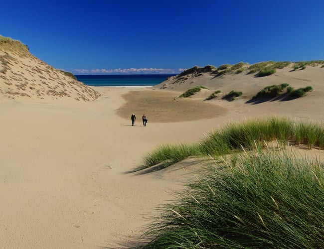 Isbutik på Anholt Havn. Sjælden udbudt sommervirksomhed sælges.