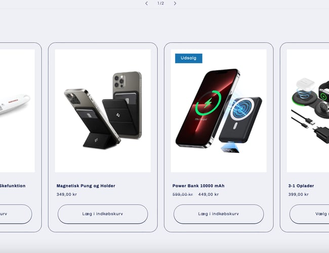 Sælger denne dropshipping webshop med 2-4 dages levering