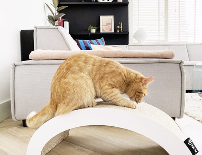 dyrmedstil.dk - Vil du sælge produkter til kunder, der holder Dyr med Stil? - har omsætning