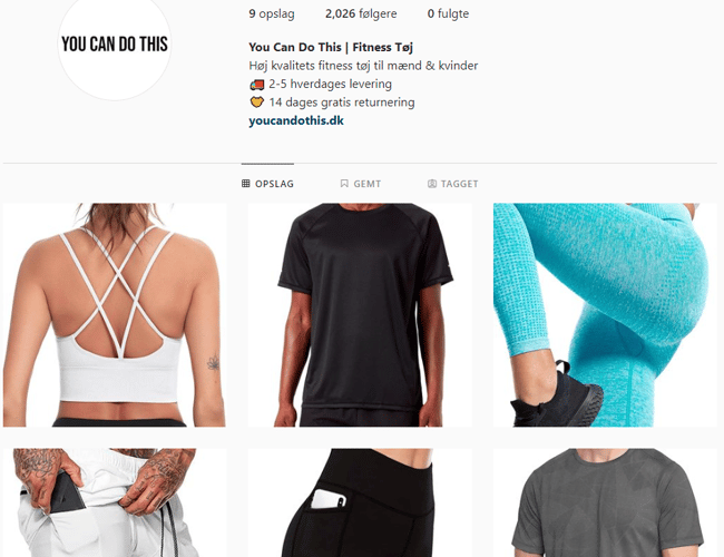 Salgsklar dropshipping fitness webshop med 2-5 dages levering, 200+ produkter