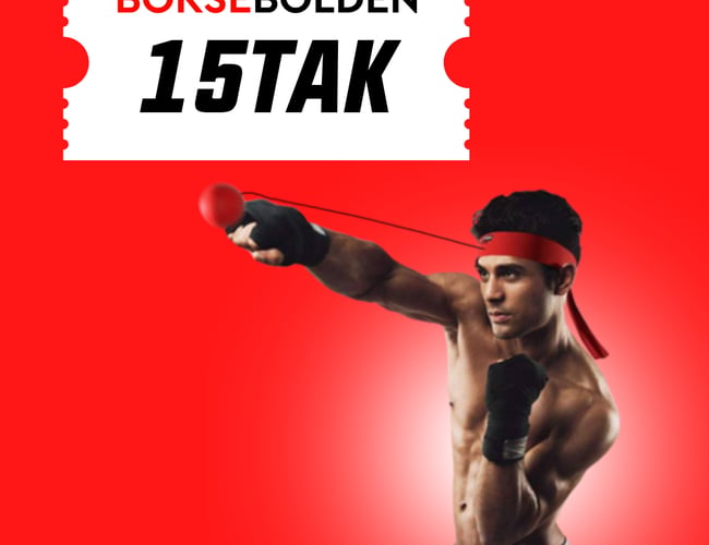 Boksebolden.dk Sælges (+500.000 kr. i omsætning)