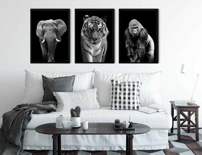 Partner/invester søges til plakat webshop