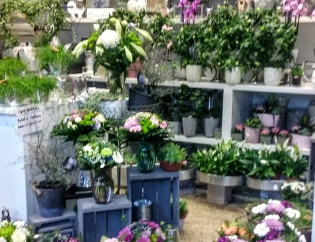 Unik Blomsterforretning i stærk fremdrift sælges. Få julehandlen med ved hurtig handel