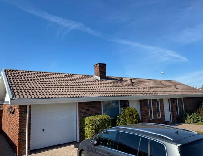 Danmarks førende tagrenser/tagmaler virksomhed - Overskud før skat 2.100.000 DKK