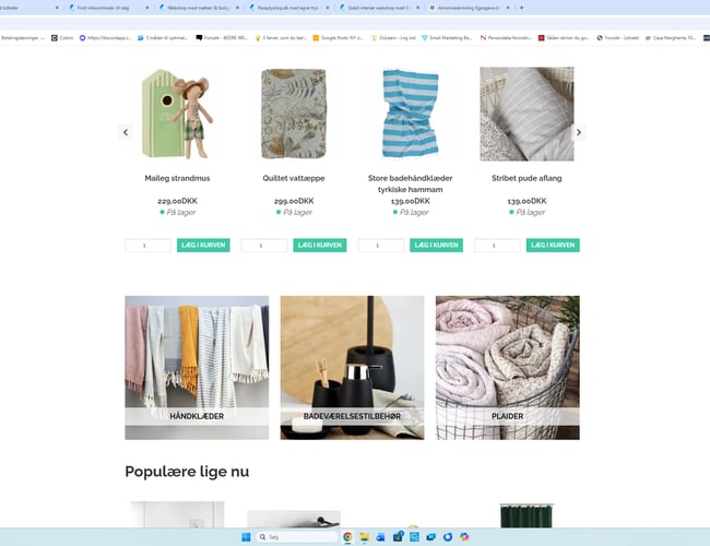 Etableret bolig- & interiørwebshop med stort vækstpotentiale