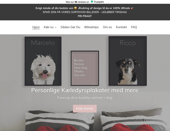 Tids- og ressourcesparsom plakatwebshop til kæledyrs - ÅTD omsætning: ca. 50.000 kr.