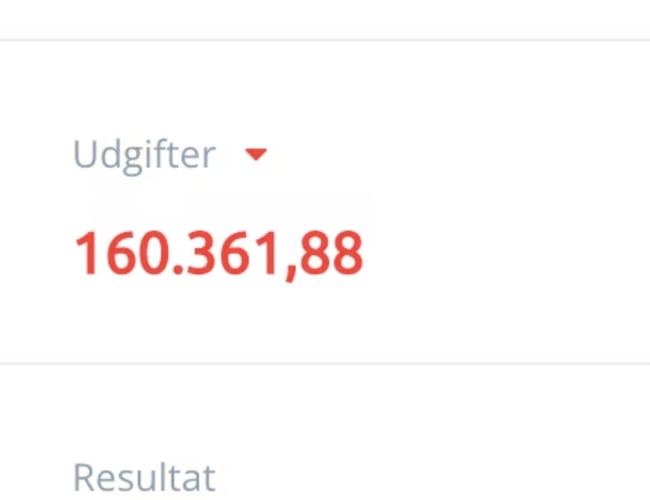 Veletableret Webshop med stærke leverandører - Omsætning 2022: 285.561,58 kr. - Udelukkende organisk vækst