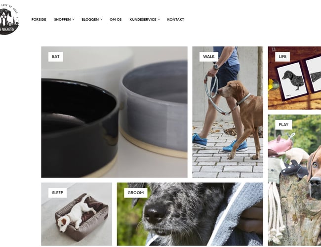 Smuk shop til den stilfulde hundeejer - omsat for 42.260 kr.