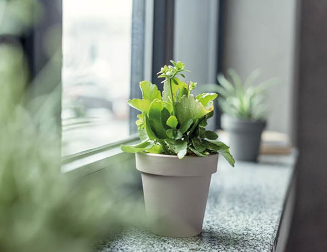 Til spændende Gazelle virksomhed inden for Natursten branchen med mange muligheder for vækst ønskes køber / partner i forbindelse med generations skifte.