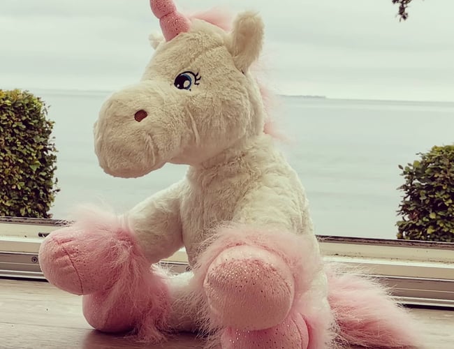 Webshop med salg af Bamser og tilbehør - Omsætning 2020: 75.000 kr.