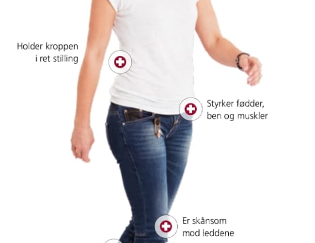 Skobutik med tilhørende webshop sælges - butikslokale på Frederiksborgvej