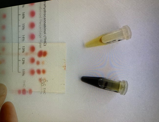 Medicinsk Cannabis