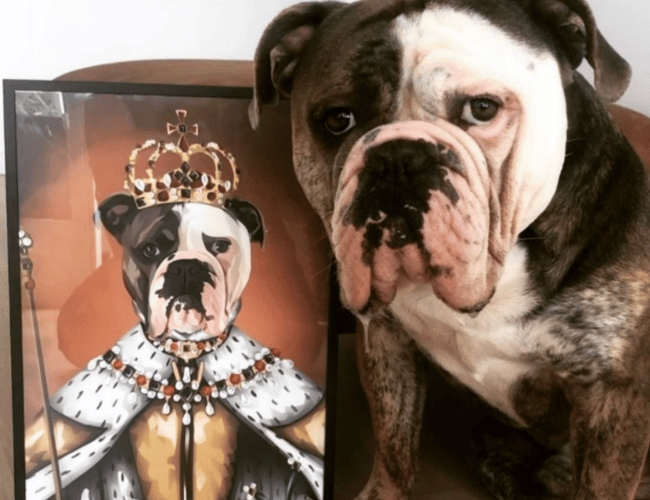 SJOVPLAKAT.DK til salg - 