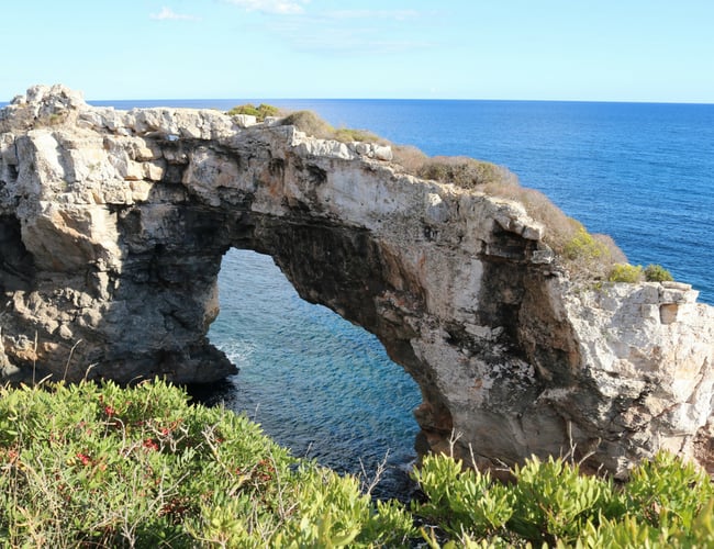 Lokalt rejsebureau med spændende koncept 