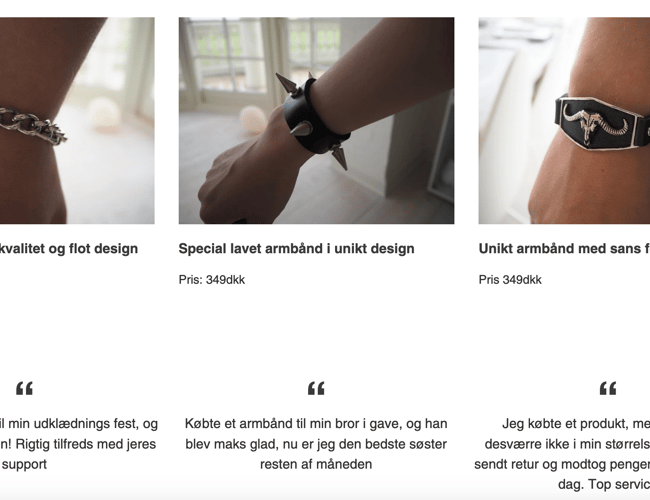 Webshop inklusive varelager på en værdi af over 100.000dkk