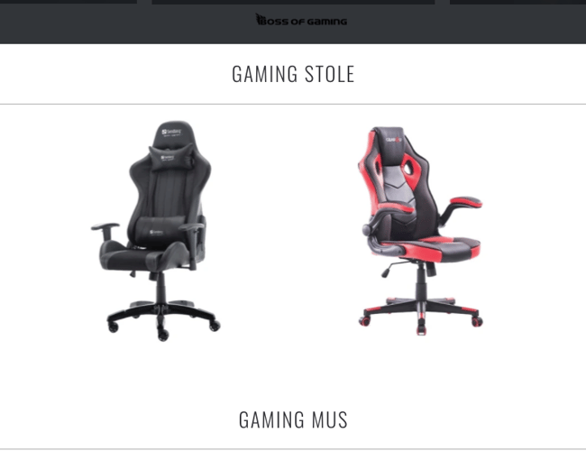 Køreklar dropshipping webshop med dag til dag levering!