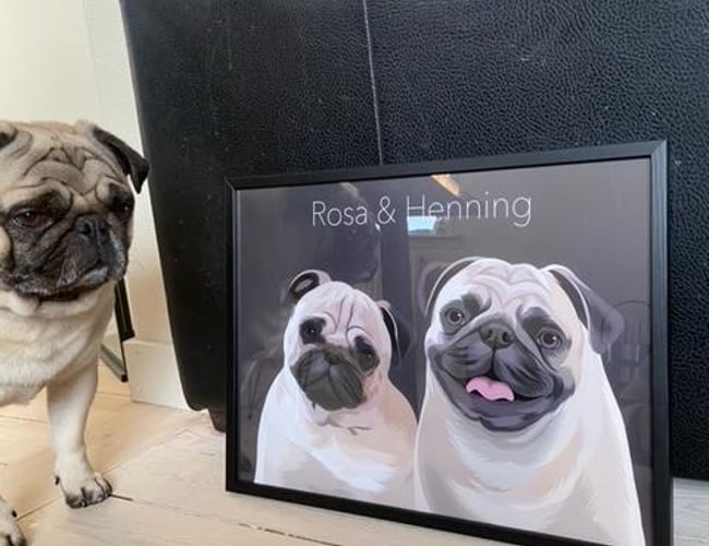 Tids- og ressourcesparsom plakatwebshop til kæledyrs - ÅTD omsætning: ca. 50.000 kr.