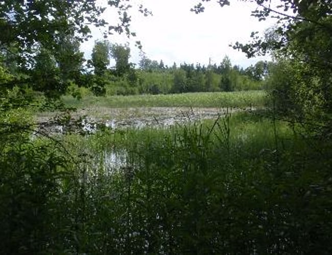 Dansk  ejere som ejer en LETISK ejendom selskab i Letland til salg