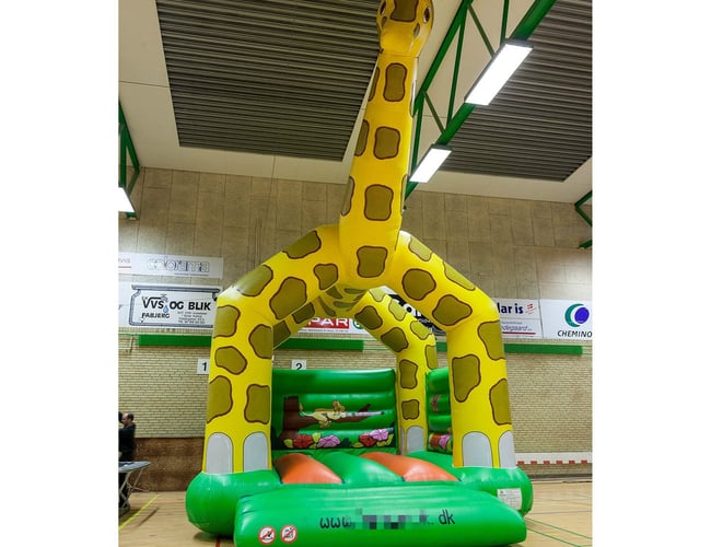 Udlejning af forlystelser