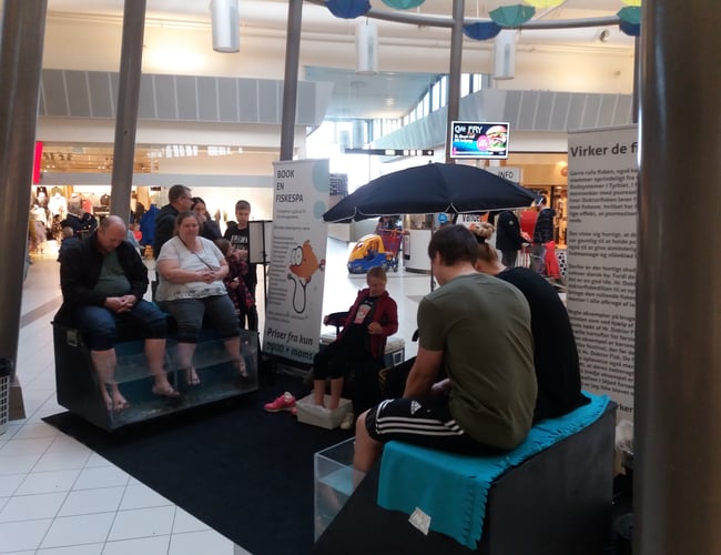 NY PRIS! Unik wellness virksomhed med doktorfisk til salg. Her kommer sommeren.