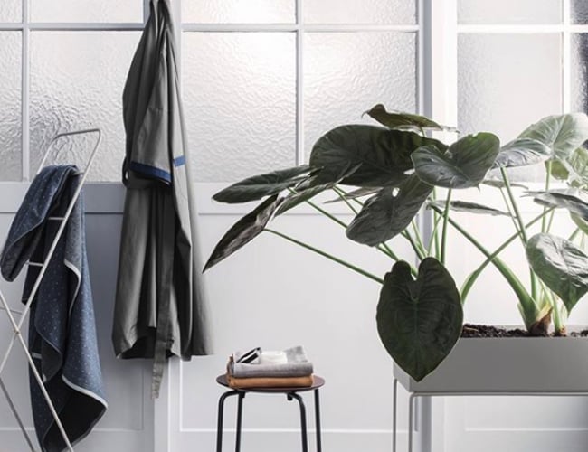 Bæredygtige og økologiske livsstilprodukter - kombineret detail og e-commerce - Resultat til indehavers disposition 500.000 kr. årligt